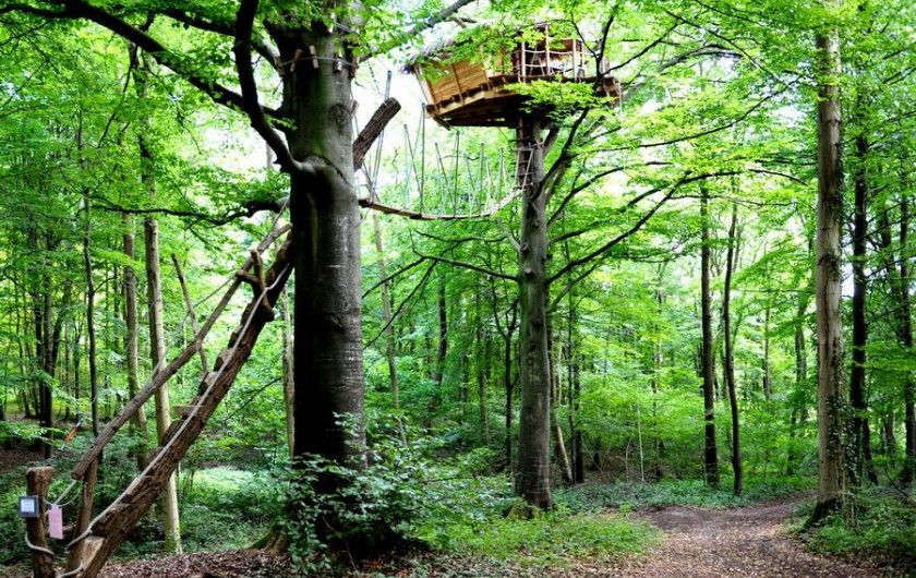 Location de vacances - Cabane dans les arbres à Saint-Germain-des-Essourts - Cabane "Berceau"