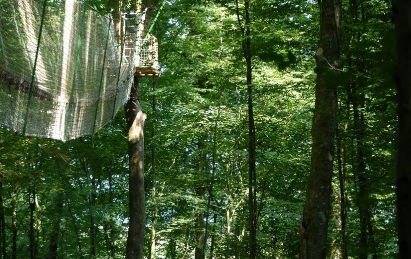 Location de vacances - Cabane dans les arbres à Signy-l'Abbaye - la canopée à 16 mètres, attention au vertige !