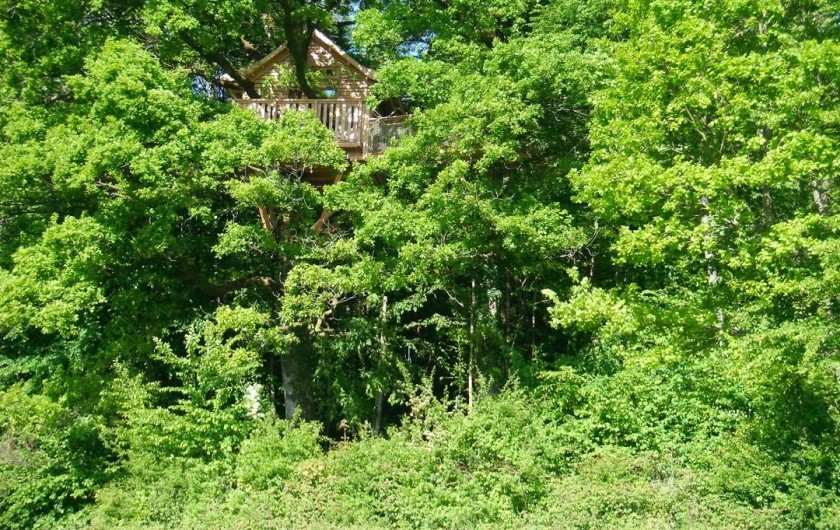 Location de vacances - Cabane dans les arbres à Signy-l'Abbaye - La héronnière vue de la pâture