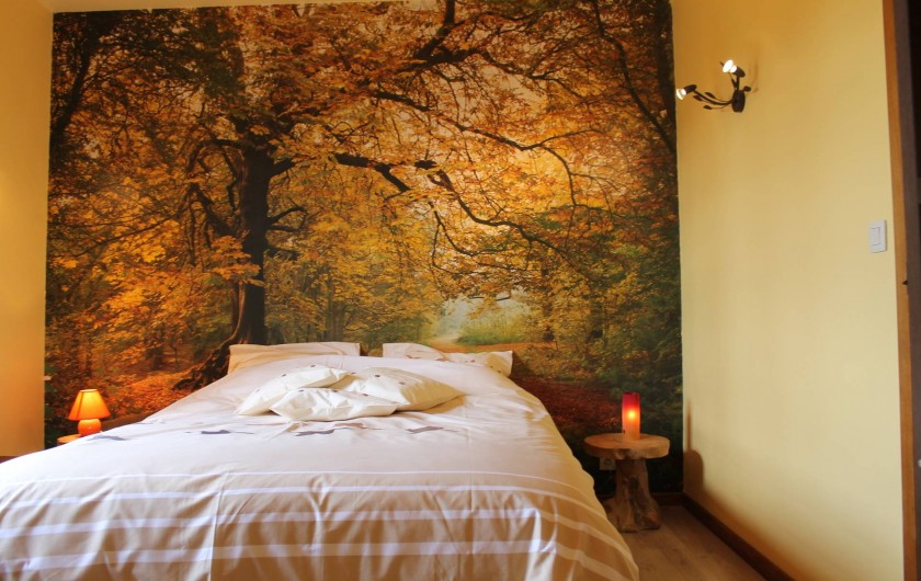Location de vacances - Chambre d'hôtes à Fauvillers - Chambre:  " Forêt en automne"