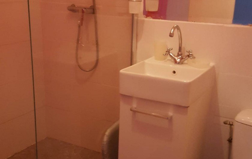 Location de vacances - Appartement à Saint-Étienne - Vous êtes dans la salle de bain avec douche Italienne  et toilette