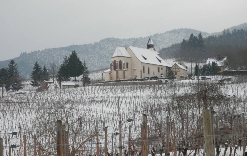 Location de vacances - Gîte à Dambach-la-ville - chapelle au milieu des vignes sous la neige