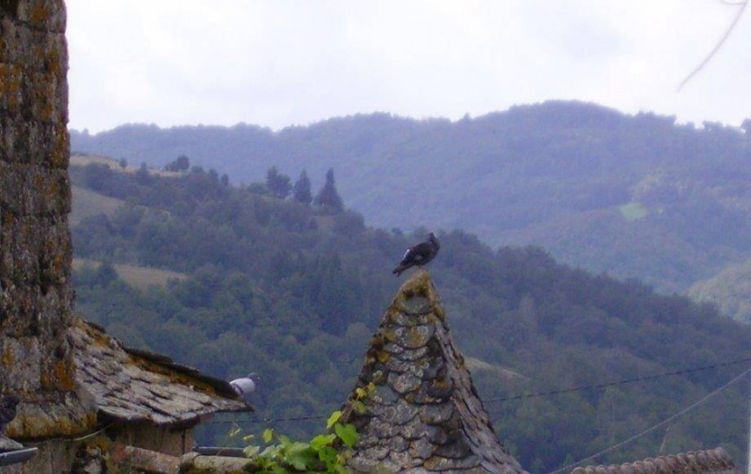 Location de vacances - Gîte à Florentin-la-Capelle - Détails de toits dans le hameau