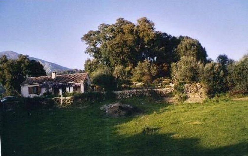 Location de vacances - Villa à Sarrola-Carcopino