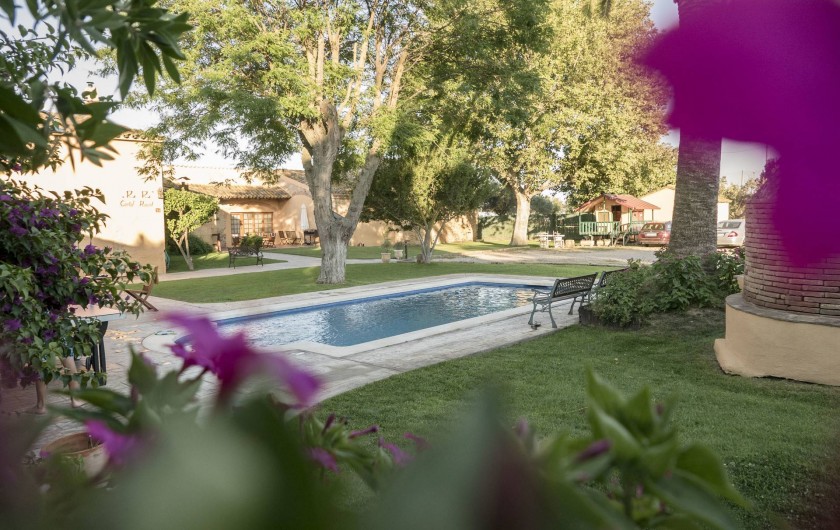 Location de vacances - Appartement à Castelló d'Empúries - La piscine et le jardin
