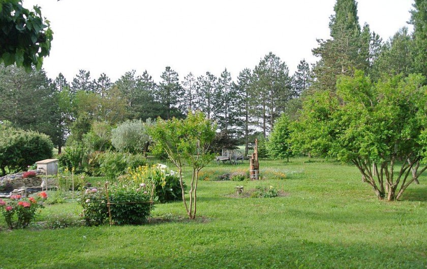 Location de vacances - Appartement à Caderousse - Une partie du jardin