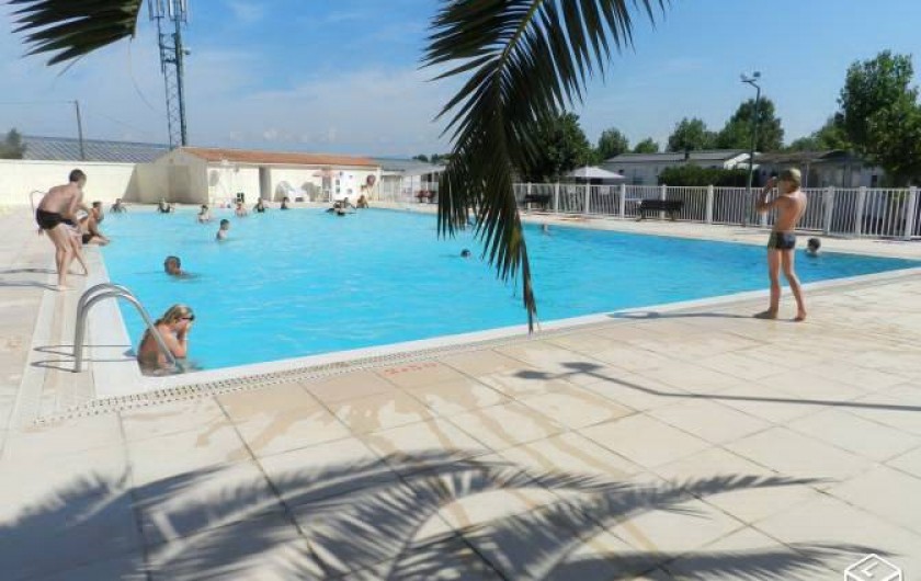 Location de vacances - Bungalow - Mobilhome à Saint-Aygulf - piscine