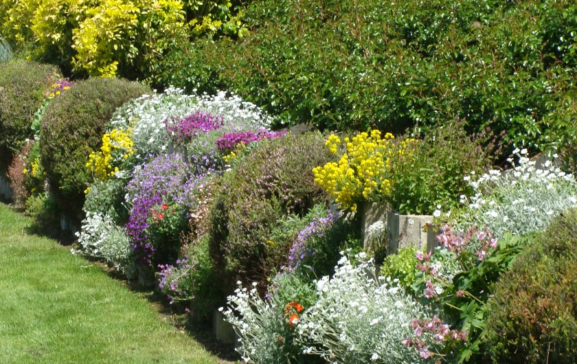 Location de vacances - Gîte à Arromanches-les-Bains - fleurs vivaces