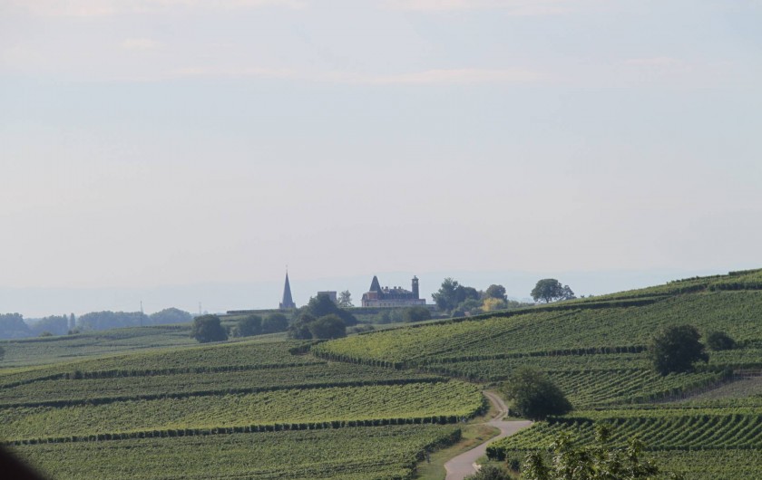 Vue sur le vignoble et le château d'Isembourg