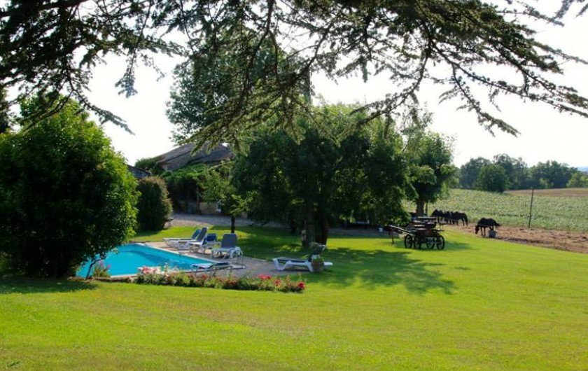 Location de vacances - Maison - Villa à Montagnac-sur-Lède - Jardin et piscine