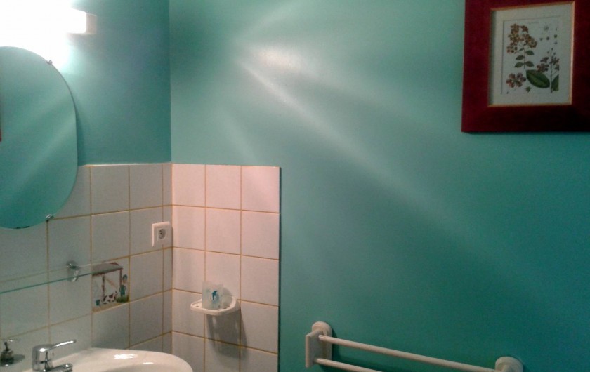 Location de vacances - Chambre d'hôtes à La Chapelle-prés-Sées - salle d'eau privative et wc