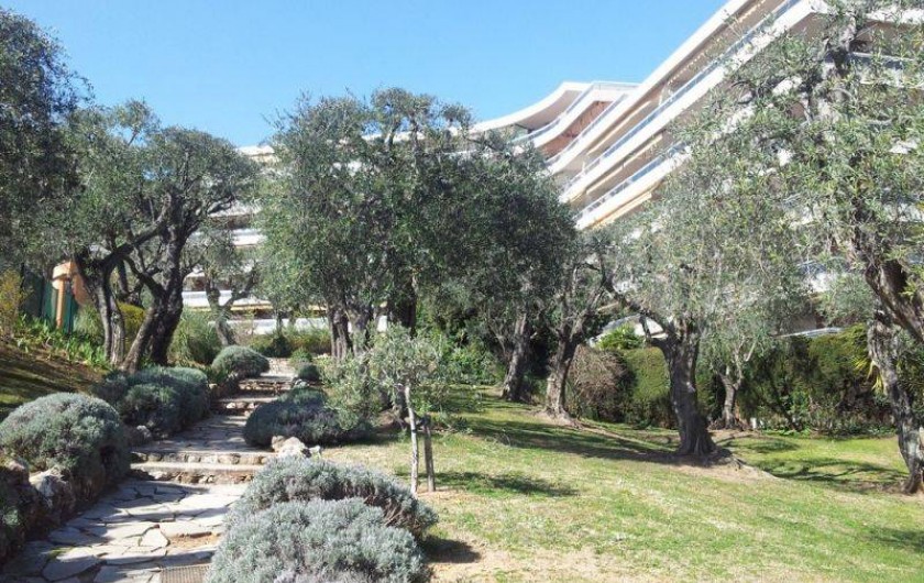 Location de vacances - Appartement à Nice - Le parc de la résidence