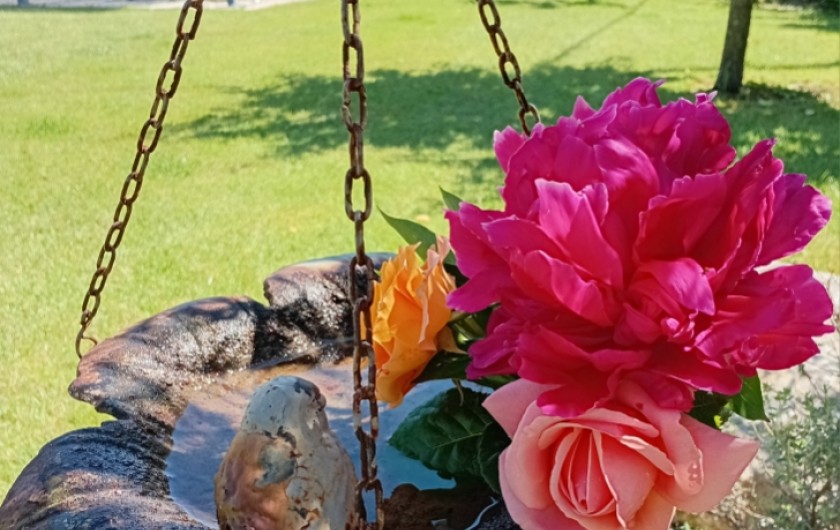 Location de vacances - Gîte à L'Isle-sur-la-Sorgue - Miroir des Oiseaux