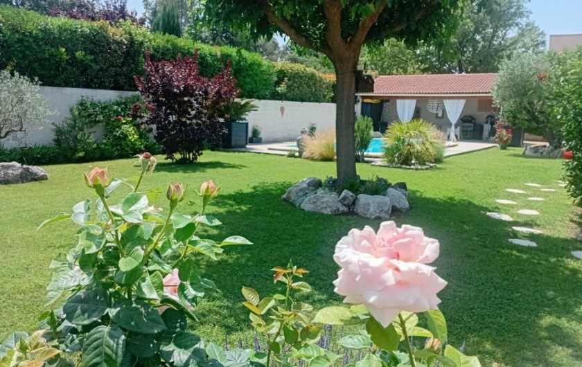 Location de vacances - Gîte à L'Isle-sur-la-Sorgue - Voir la vie en Roses