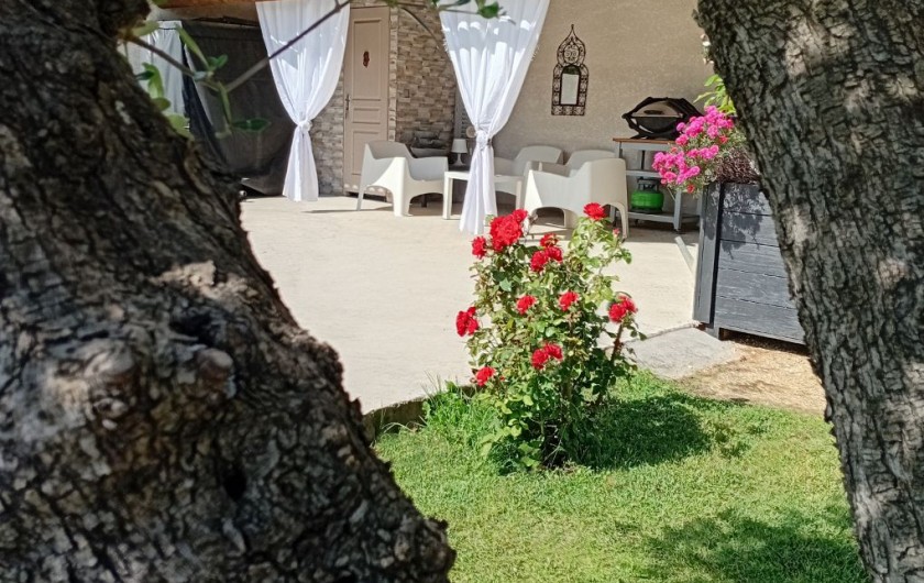 Location de vacances - Gîte à L'Isle-sur-la-Sorgue - Barbecue au Pool-house