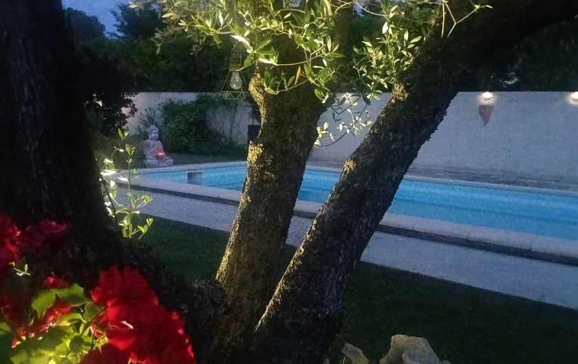 Location de vacances - Gîte à L'Isle-sur-la-Sorgue - Les arbres s'illuminent