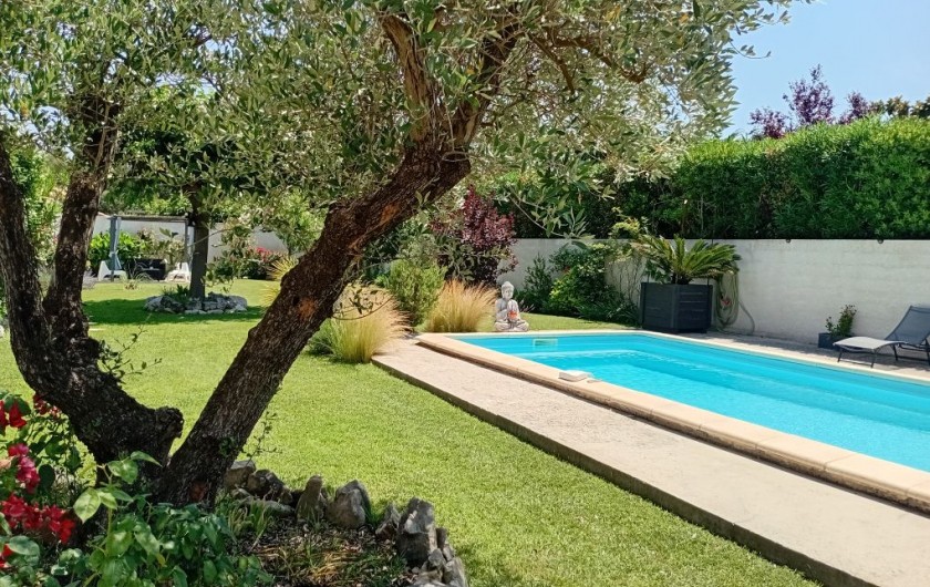 Location de vacances - Gîte à L'Isle-sur-la-Sorgue - Sous l'Olivier