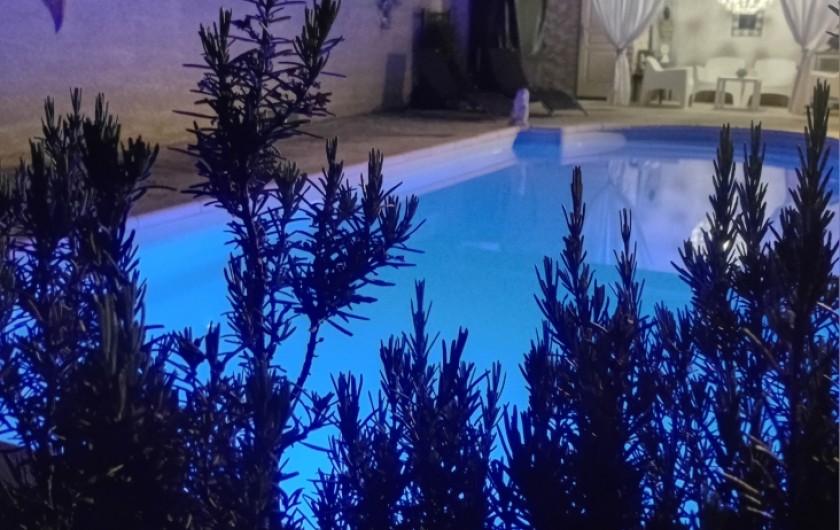 Location de vacances - Gîte à L'Isle-sur-la-Sorgue - Piscine by night