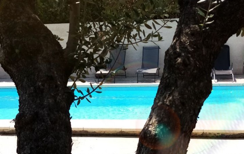 Location de vacances - Gîte à L'Isle-sur-la-Sorgue - Transats au bord de la piscine
