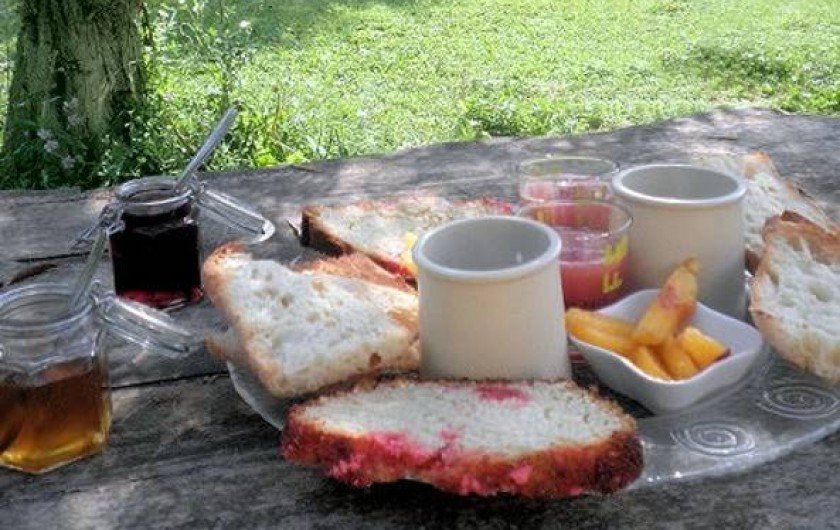 Location de vacances - Gîte à Velleron - Petit déjeuner sur l'herbe