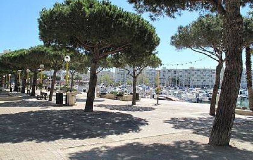 Location de vacances - Appartement à Carnon-Plage - Promenade le long du port avec  commerces et restauration, à 30 m de l'immeuble