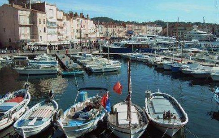 Location de vacances - Appartement à Montferrat - St Tropez le vieux port
