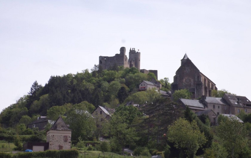 Location de vacances - Appartement à Causse-et-Diège - Najac avec son château