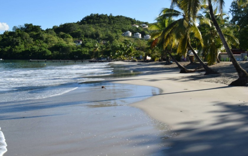 Location de vacances - Appartement à Les Trois-Îlets - Une des plages de l'Anse à l'Âne