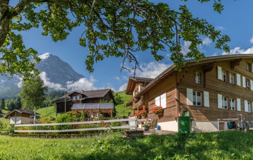 Location de vacances - Appartement à Grindelwald - Chalet im Boden et Eiger