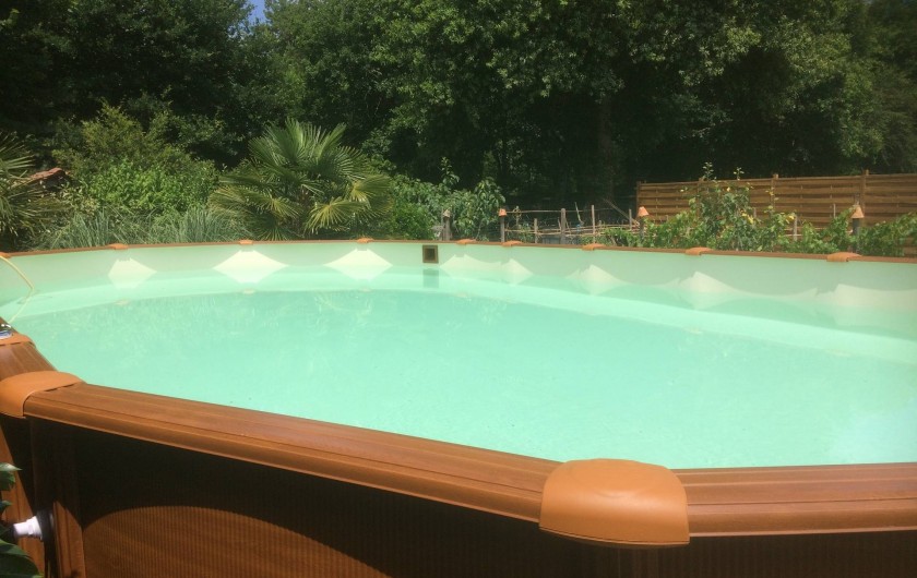 Location de vacances - Gîte à Lue - piscine  de  9 mètres sur 5,    échelle sécurisée.