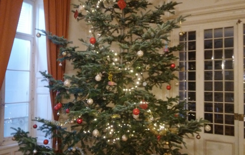 Location de vacances - Château - Manoir à Ourouer-les-Bourdelins