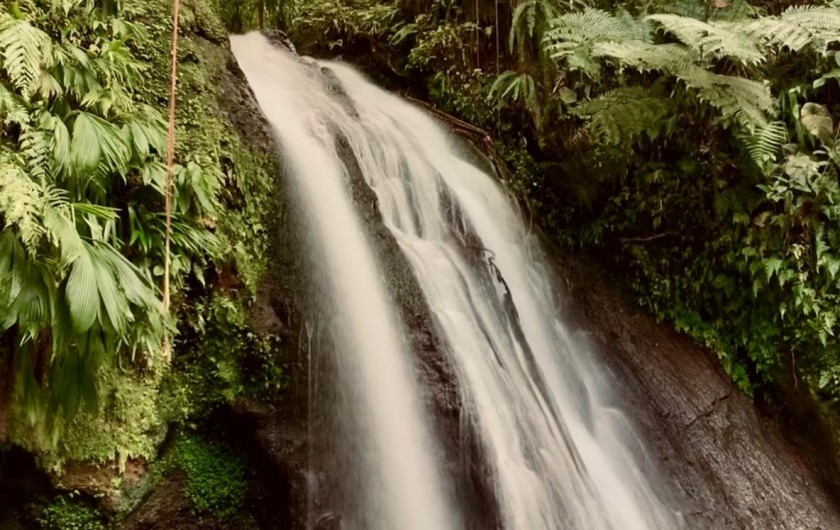 Location de vacances - Bungalow - Mobilhome à Sainte Rose - CHUTE DU CARBET