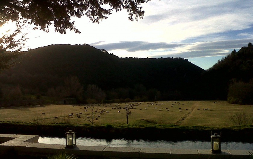 Location de vacances - Gîte à Montferrat - Le pré, l'aqueduc et mon troupeau