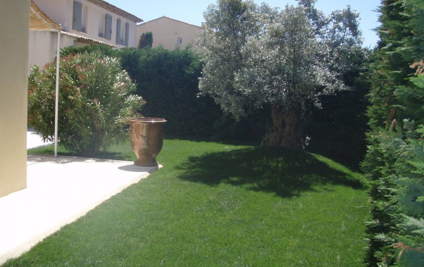 Location de vacances - Villa à Aix-en-Provence - Vue du jardin côté entrée (= Ouest) avec un olivier centenaire
