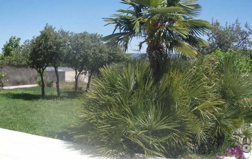 Location de vacances - Villa à Aix-en-Provence - Vue du jardin côté Est avec Palmiers et chênes