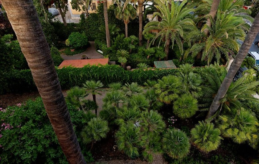 Location de vacances - Appartement à Santa Marinella - le jardin