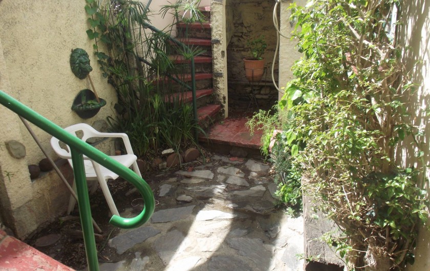 Location de vacances - Maison - Villa à Collioure - Petit patio