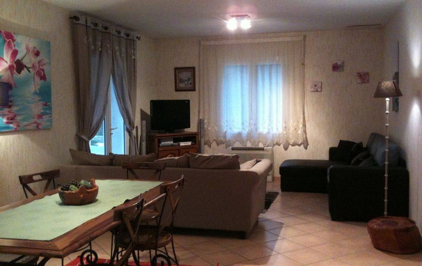 Location de vacances - Villa à Lamanon - le salon avec canapé lit deux place et une place