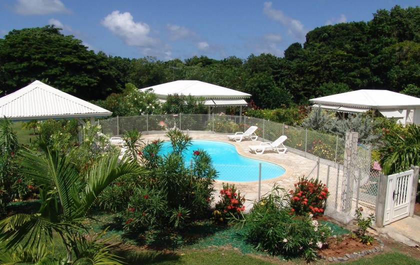 Location de vacances - Bungalow - Mobilhome à Le François - Les bungalows autour de leur piscine et du jacuzzi.