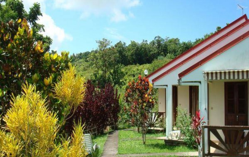 Location de vacances - Studio à La Trinité - Vue donnant sur les Pitons du Carbet et Mt Pelée