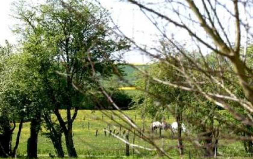 Location de vacances - Chambre d'hôtes à Levoncourt