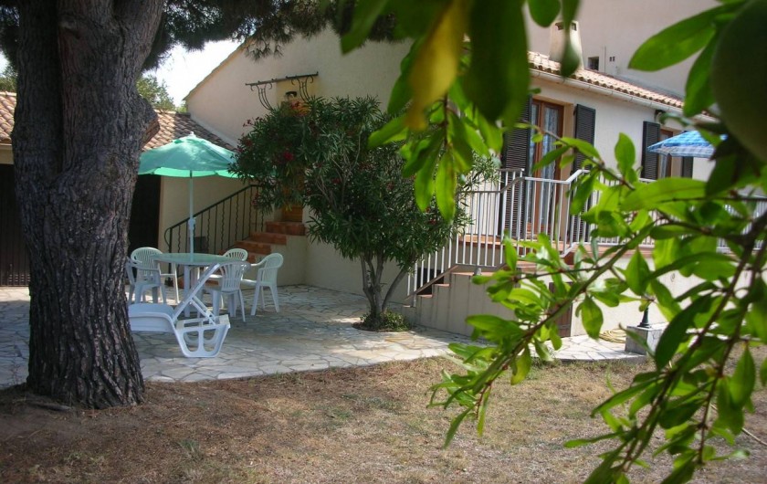 Location de vacances - Villa à Calvi - Terrasse sous pin