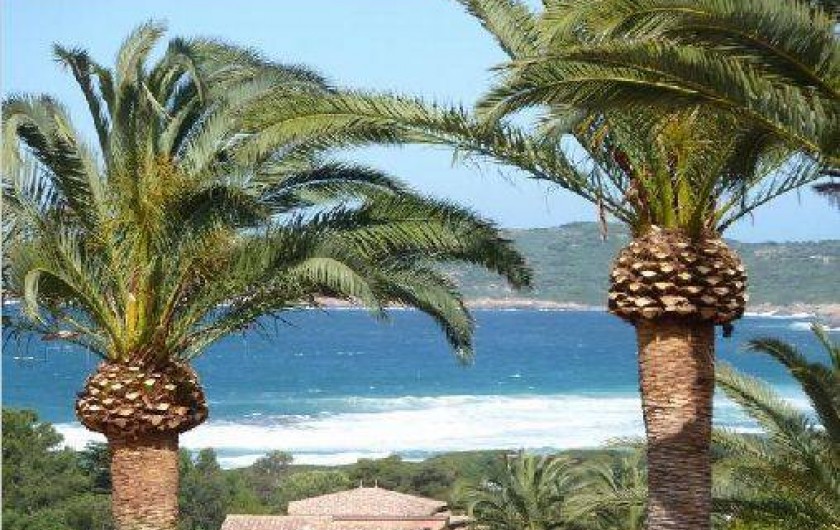 Location de vacances - Villa à Cargèse - la plage