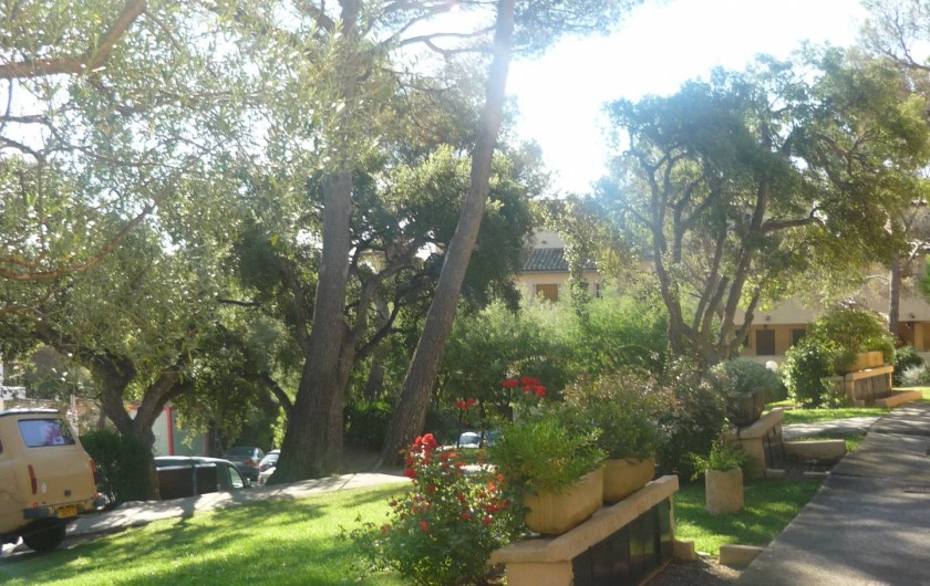 Location de vacances - Studio à Saint-Raphaël - La résidence le Hameau des pins