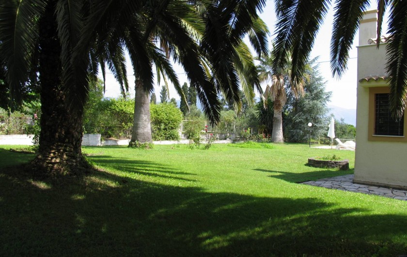 Location de vacances - Villa à Corfu - View of the garden lawns and palm trees.