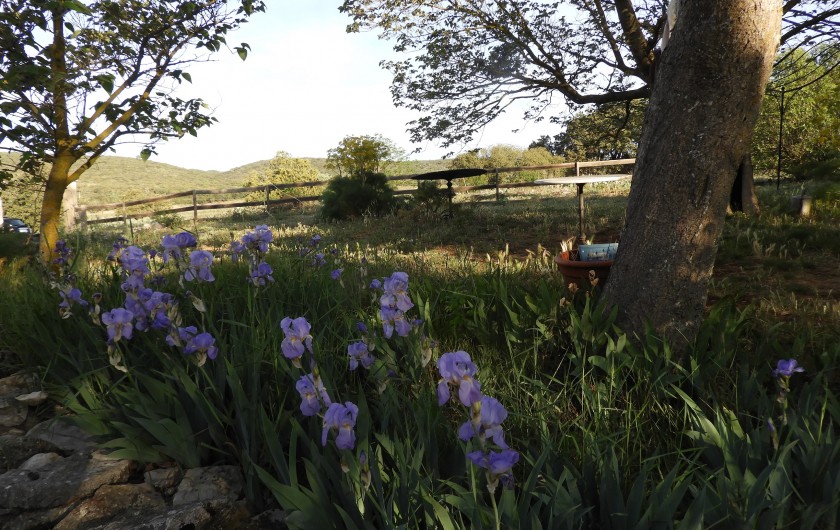 Location de vacances - Gîte à Brue-Auriac