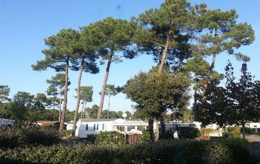 Location de vacances - Camping à Ronce les Bains - Vue du Salon