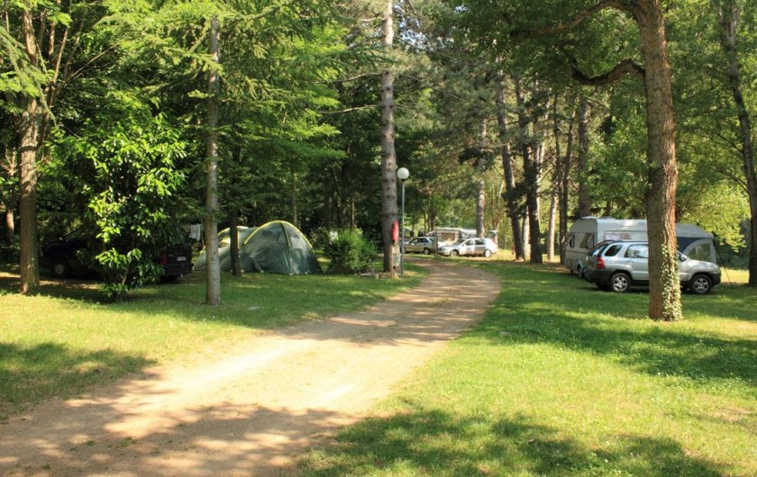 Location de vacances - Camping à Castelbouc - Une des allées du camping