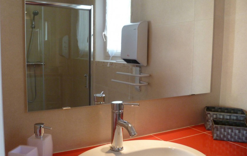 Location de vacances - Gîte à L'Isle-sur-la-Sorgue - plan de vasque et reflet de cabine de douche dans son miroir