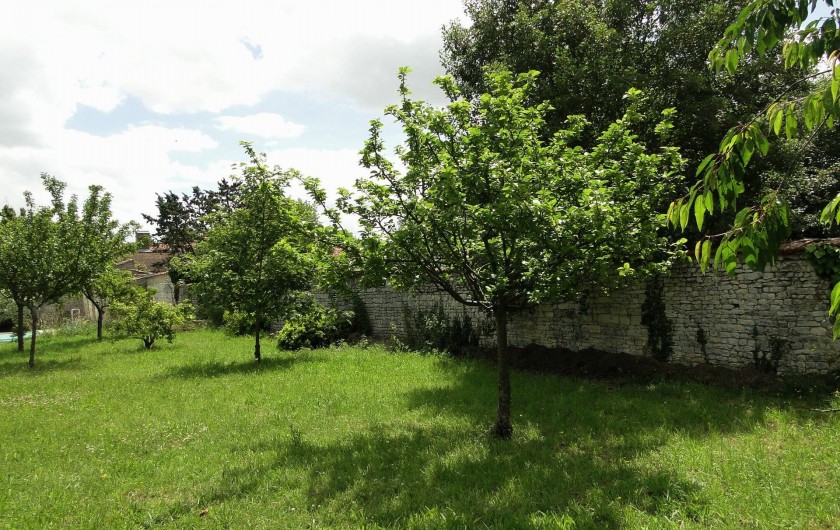 Location de vacances - Chambre d'hôtes à Andilly - Les arbres fruitiers sous le soleil